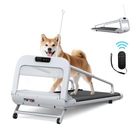 2025 New Quiet Smart Pet Treadmill, Adjustable Speed, Perfect For Small-Medium Dogs