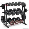 Sunny Health & Fitness Multi-Weight Storage Rack Stand - SF-XF921036