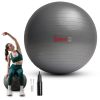 Sunny Health & Fitness Premium Yoga Ball