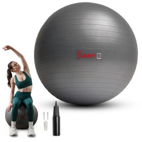 Sunny Health & Fitness Premium Yoga Ball (Option: Small)