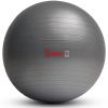 Sunny Health & Fitness Premium Yoga Ball