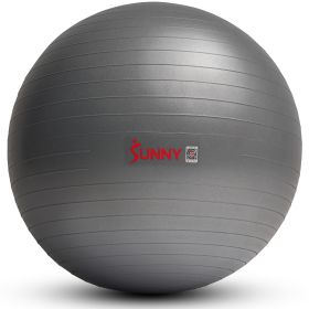 Sunny Health & Fitness Premium Yoga Ball (Option: Medium)