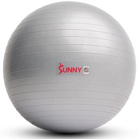 Sunny Health & Fitness Premium Yoga Ball (Option: Extra Small)